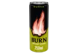 Energinis gėrimas BURN GUAVA 250ml