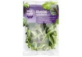 Salotų mišinys ROYAL WELL DONE, 100 g