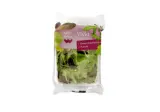 Salotų mišinys VIVID WELL DONE, 100 g