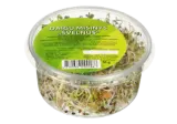 Daigų mišinys ŠVELNUS, 50 g