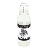 Beržų sula MAGNUM, 750 ml
