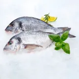 Neskrostos auksaspalvės atvėsintos dorados