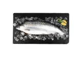 Fresh Atlantic salmon, gutted, 1-3 kg, 1 kg