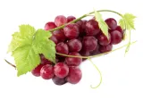 Raudonosios vynuogės, 1 kg