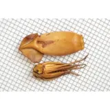 Argentinian shortfin squid, hot smoked