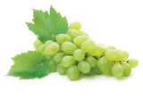 Žaliosios vynuogės su sėklomis, 1 kg