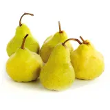 Kriaušės PACKHAM 