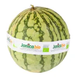 Organic Watermelon, kg
