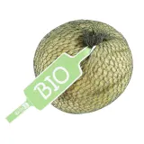 Organic Melon 1st Class, 1 kg