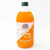 Šalt. arbatos koncentratas ŽOLYNĖLIS, 520 ml