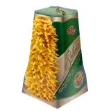 Šakotis in a box ROMNESA, 1 kg