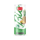 Ekol. gėr. RASA BIO, pas. ir anan. sk. 0,33 l