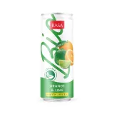 Ekol. gėr. RASA BIO, apel. ir cit. sk. 0,33 l