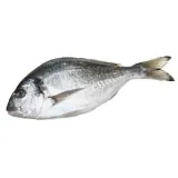 Chilled golden dorado, unpeeled with head, 1 kg