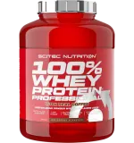 Scitec 100% Whey Protein Professional Ice Coffee 1816 g