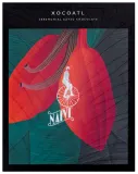 Dark chocolate 65% XOCOATL NAIVE, 50 g