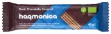 Waffle covered with dark chocolate, organic