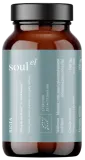 Смесь суперфудов для здоровья кишечника BIOTA, органическая SOULEL, 100 г
