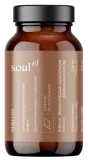 Coffee alternative with adaptogens DĖMESIO, organic. Dietary supplement SOULEL, 100 g