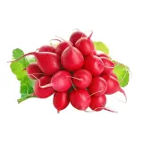Fresh radish bunch, II grade