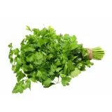 Parsley, II grade