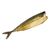 Hot smoked Atlantic mackerel without head