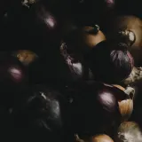 Onion