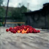 Raspberries