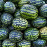 Arbūzas