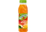 Įvairių vaisių ir morkų sultys TYMBARK, 300 ml