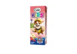 Vasaros uogų sulčių gėrimas CIDO KIDS, 200 ml