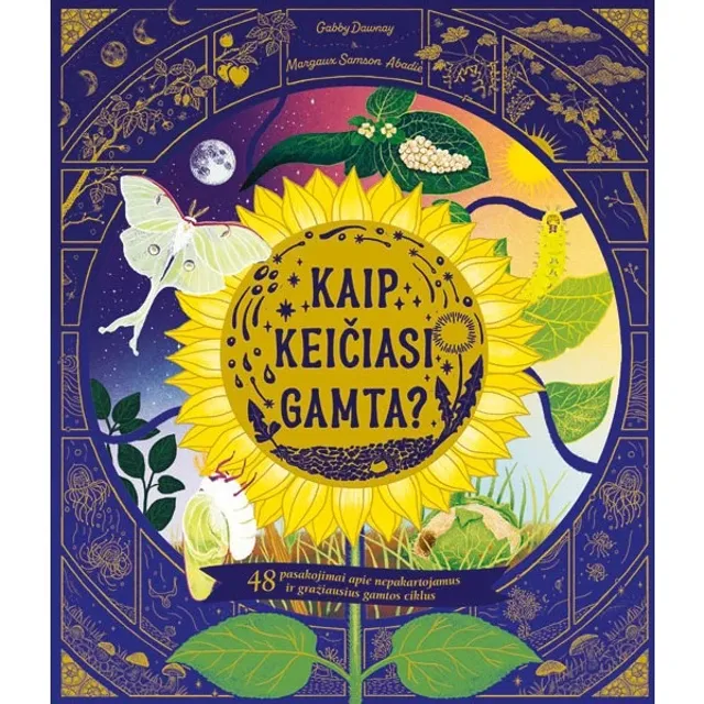 Knyga KAIP KEIČIASI GAMTA?
