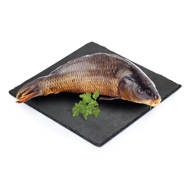 Чистый обычный карп с головой (CYPRINUS CARPIO)