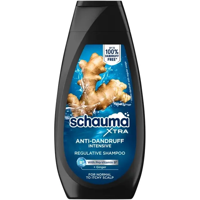 Шампунь для волос Schauma Men Anti-Dandruff 350мл