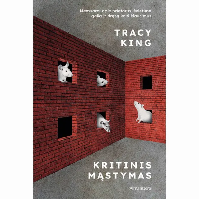 Knyga KRITINIS MĄSTYMAS