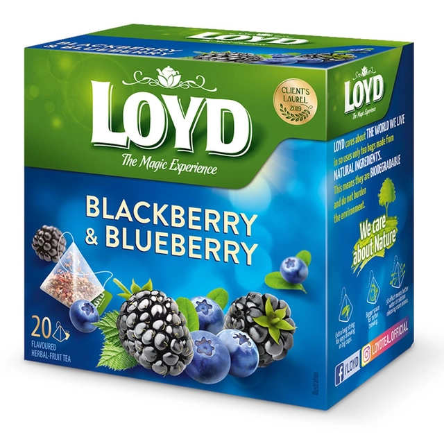 Vaisinė arbata gervuogių ir mėlynių skonio LOYD, 20 x 2 g