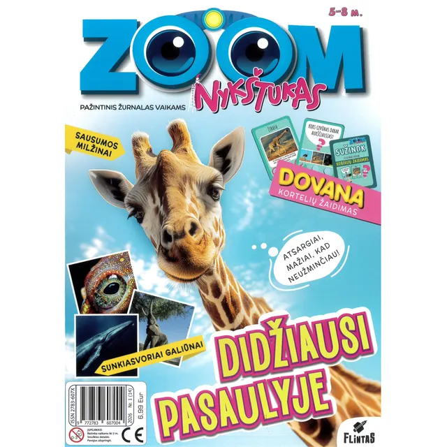 Žurnalas ZOOM NYKŠTUKAS