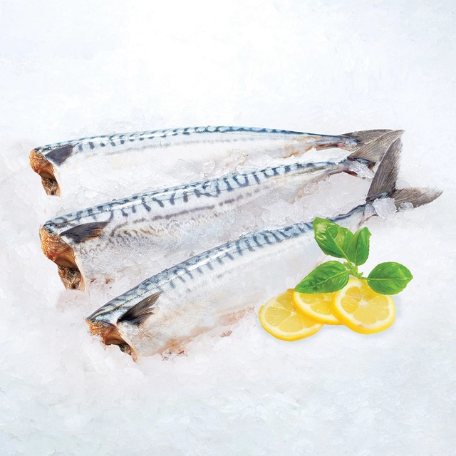 Атлантическая скумбрия, очищенная, без головы
