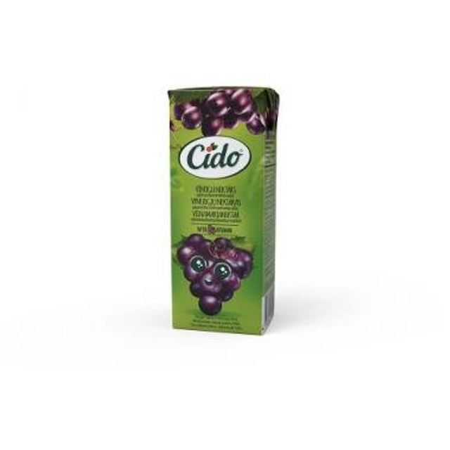 Grape nectar CIDO (50%), 200 ml