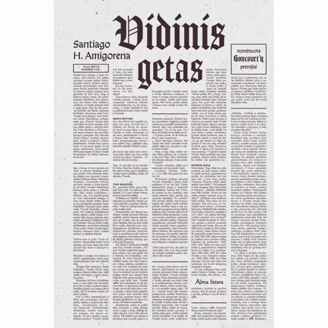 Knyga VIDINIS GETAS
