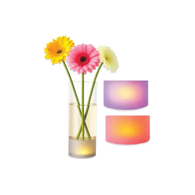 Stiklinė vaza su LED apšvietimu 10x27 cm