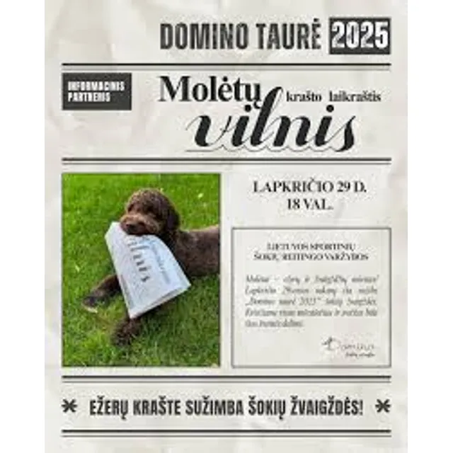 Laikraštis VILNIS