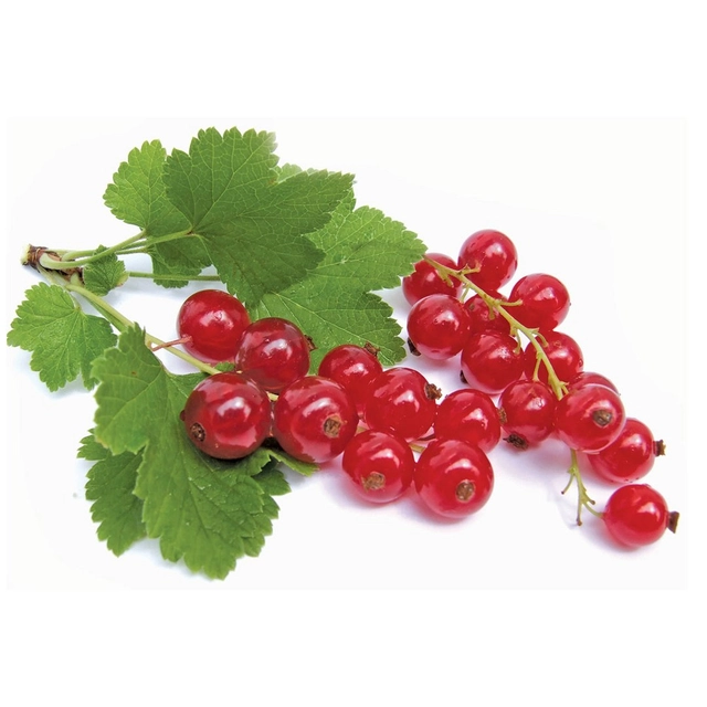 Raudonieji serbentai, 250 g