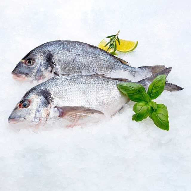 Unskinned chilled dorado