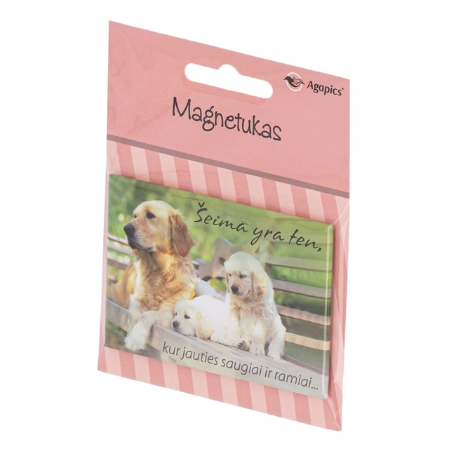 MAGNETUKAS
