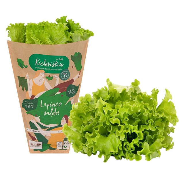 Lapinės salotos vazonėlyje KIETAVIŠKIŲ, 1 vnt.