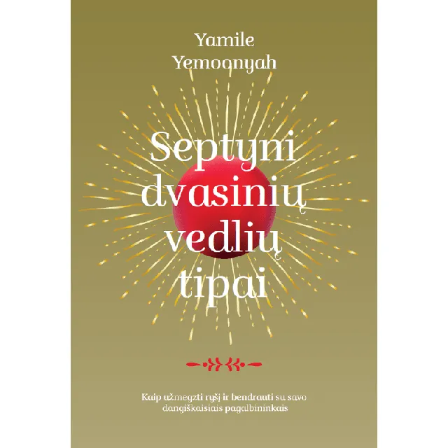 Knyga SEPTYNI DVASINIŲ VEDLIŲ TIPAI