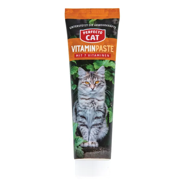 Vitaminų pasta katėms, PFC Cat 100 g