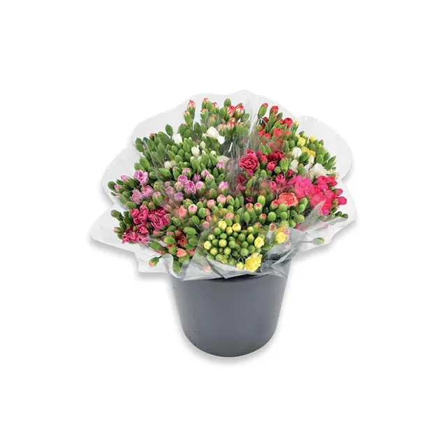 Skintos gėlės GVAZDIKAI, 50 cm, 9 vnt.