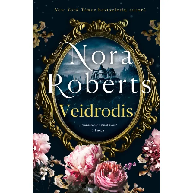 Knyga VEIDRODIS